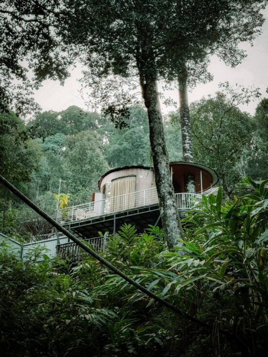 Best resort in Wayanad