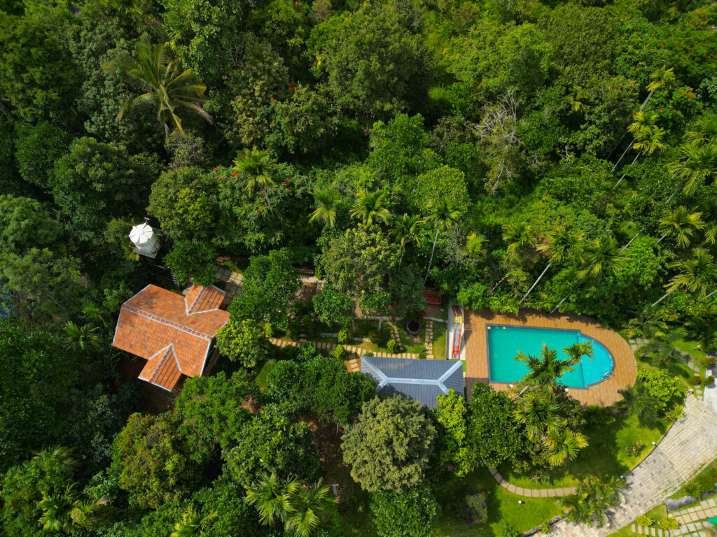 Best resort in Wayanad