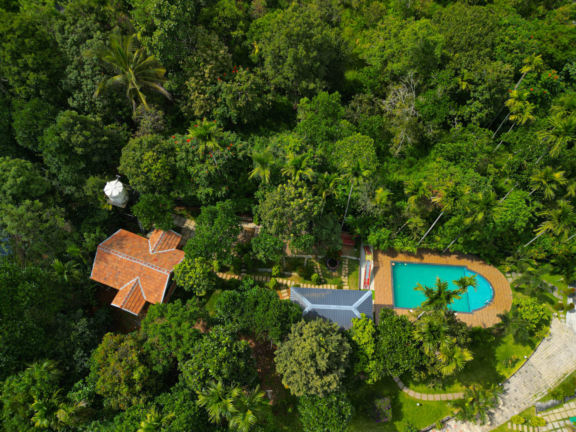 Best resort in Wayanad